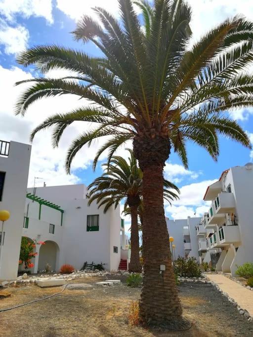 Appartement Casa Azul à Costa De Antigua Extérieur photo